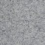 AnyConv.com__00345